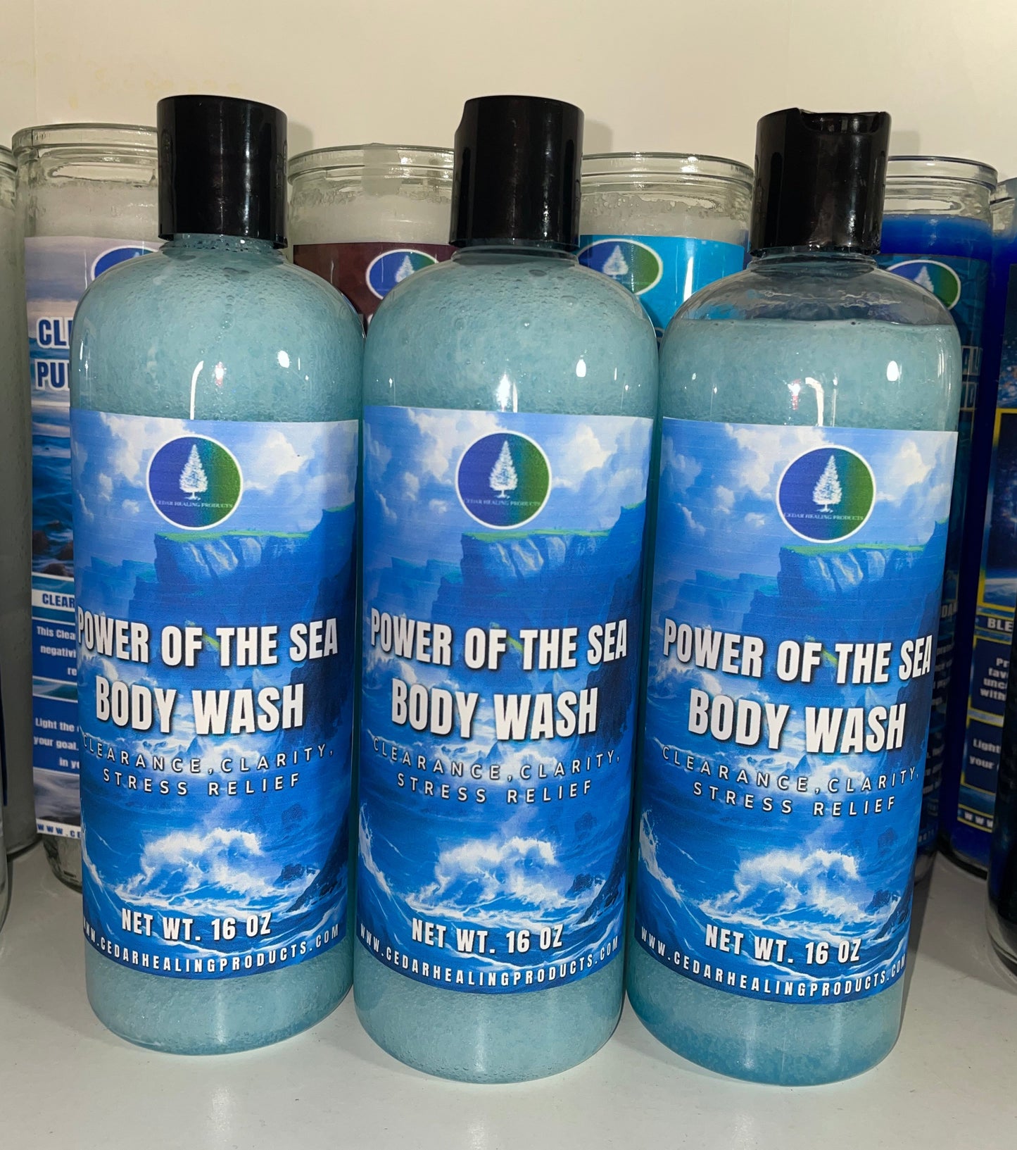 Three bottles of Power of the Sea Body Wash with light blue scrub inside, featuring blue labels with white text and black caps, displayed on a white shelf.
