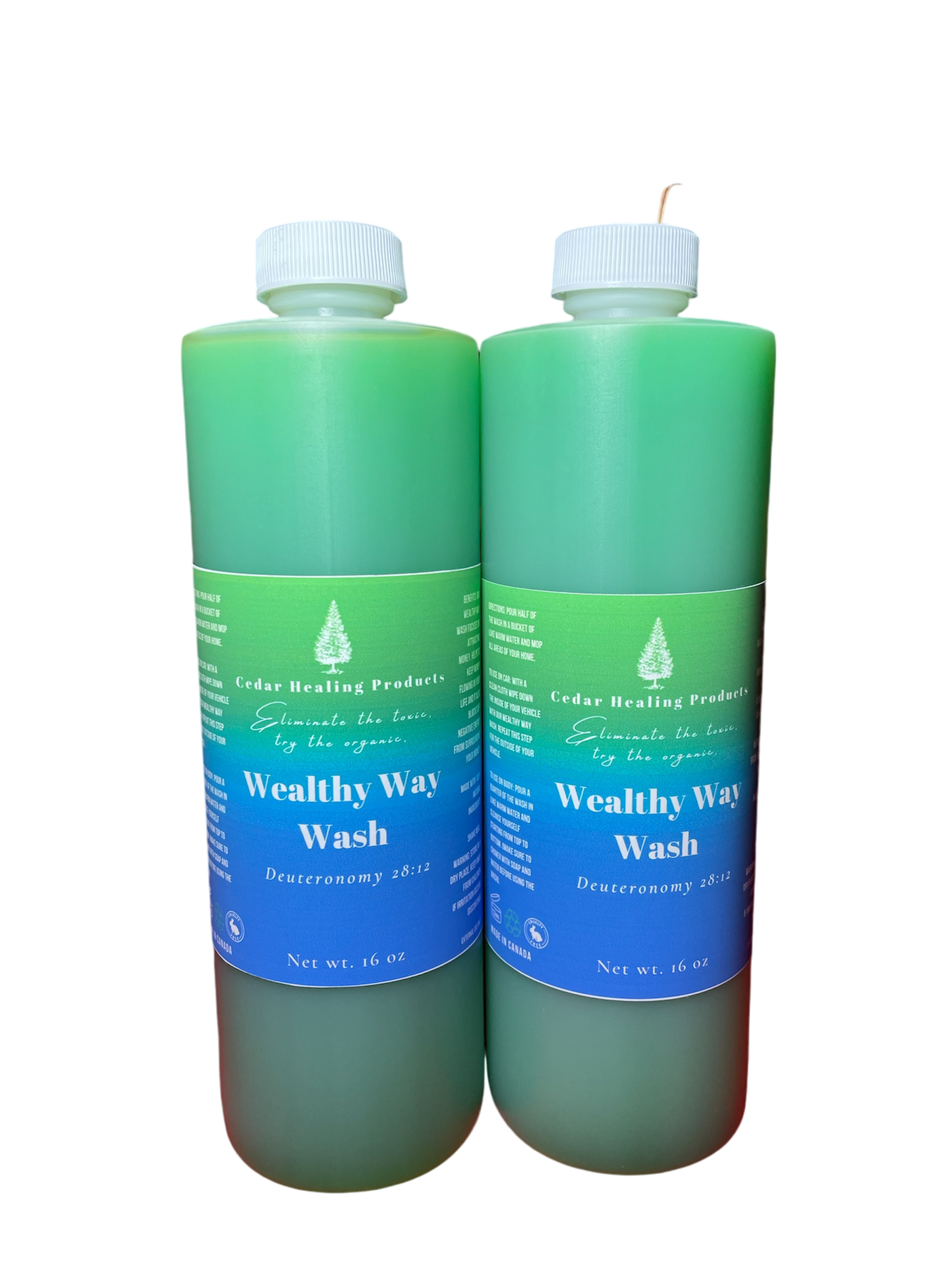 Wealthy Way Wash