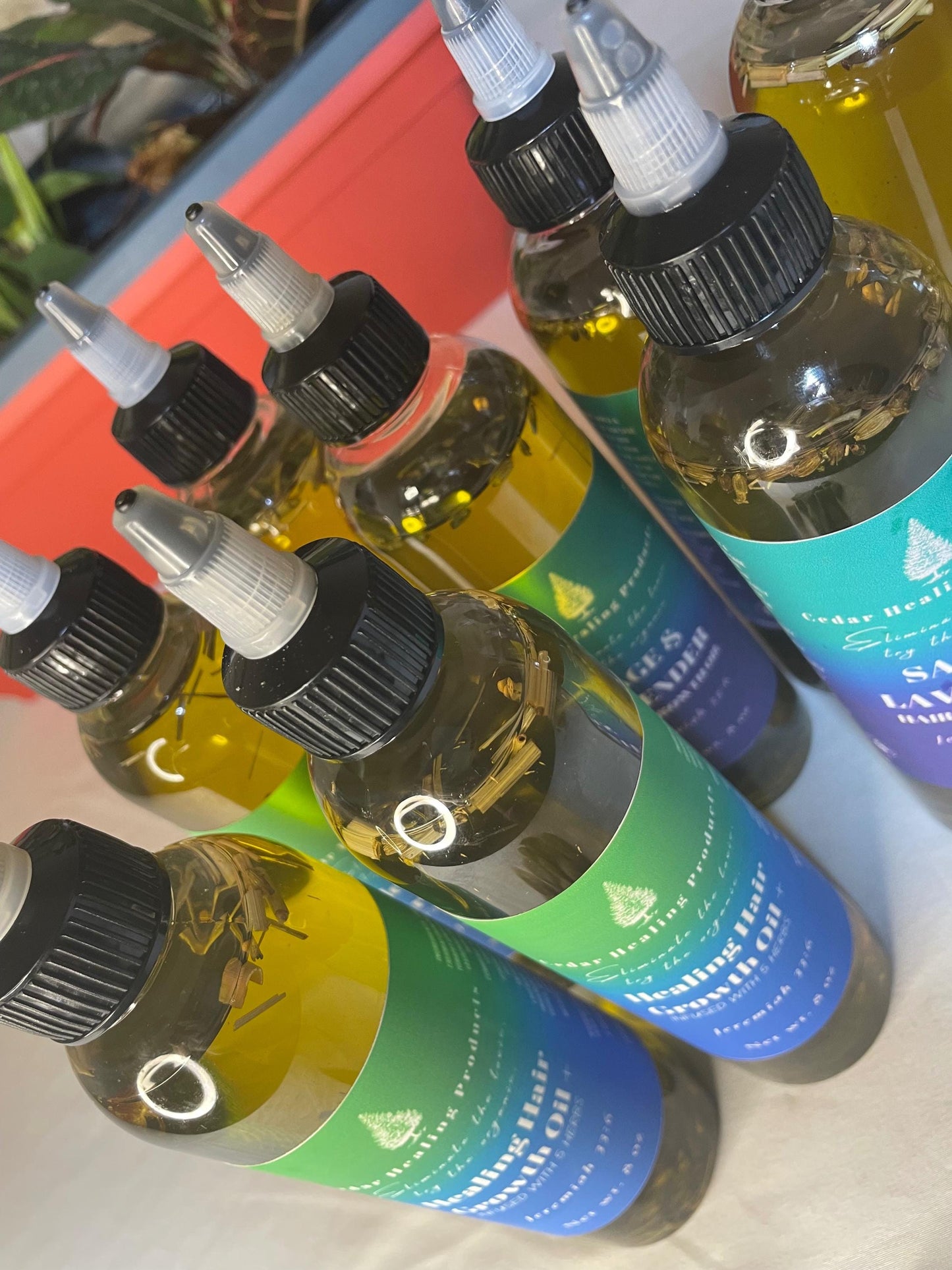 Healing Hair Growth Oil + | 5 HERB BLEND | Herb infused oil| Healing oil for scalp | With herbal extracts and powders | For all hair types |
